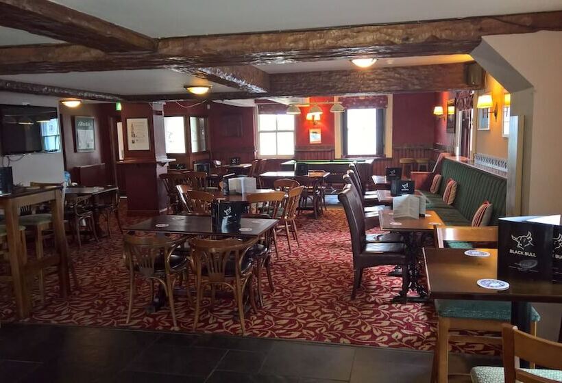 ベッドアンドブレックファースト Black Bull