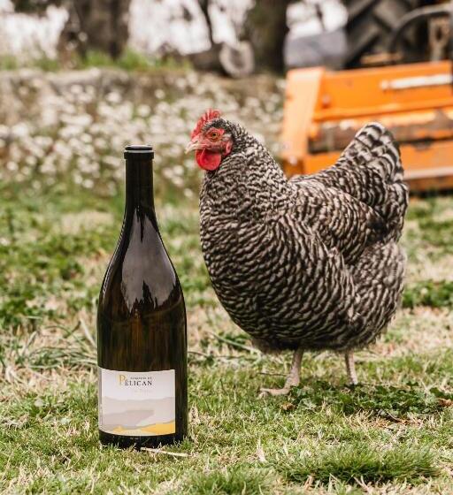 مبيت وإفطار Domaine De Pelican