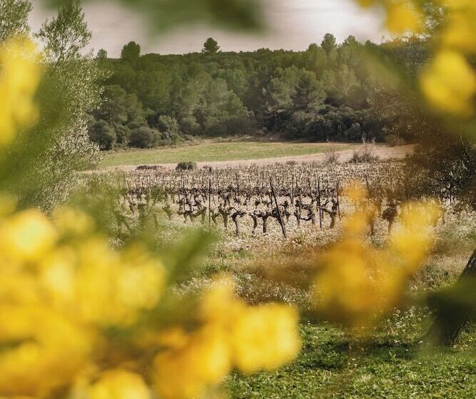 مبيت وإفطار Domaine De Pelican