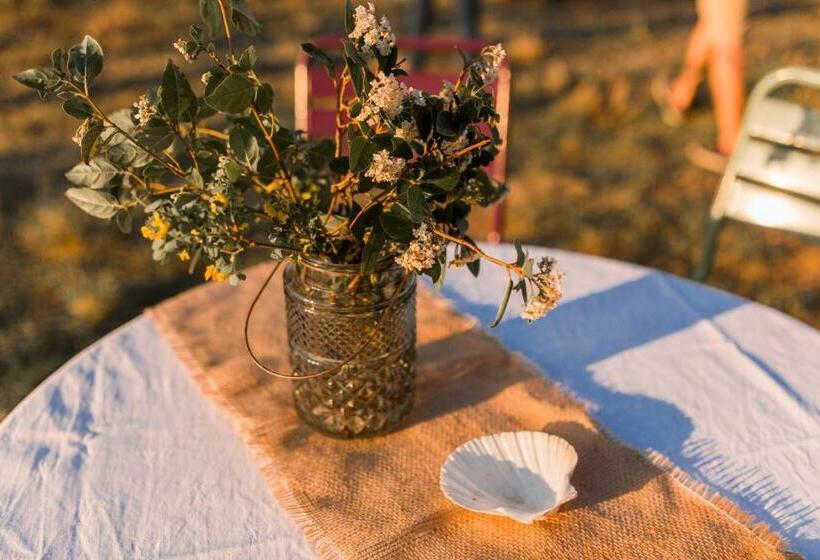 مبيت وإفطار Domaine De Pelican