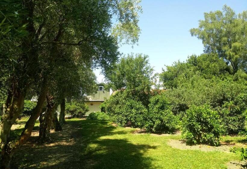 צימר Irongate Retreat