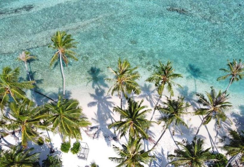 تختخواب و صبحانه Iru Maldives