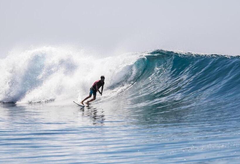 تختخواب و صبحانه Iru Maldives