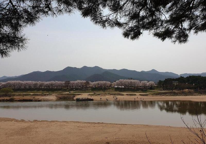 צימר Okyeon Jeongsa