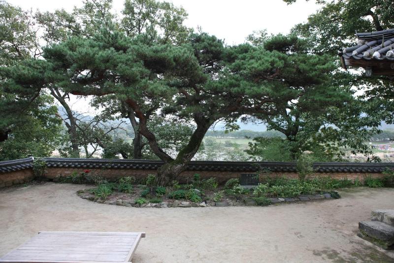 צימר Okyeon Jeongsa