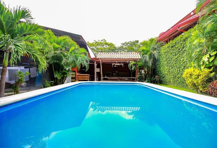 تختخواب و صبحانه Tamarindo Inn