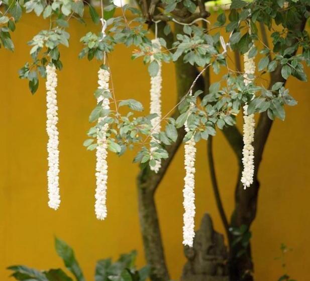 호텔 Boutique Spice Colombo