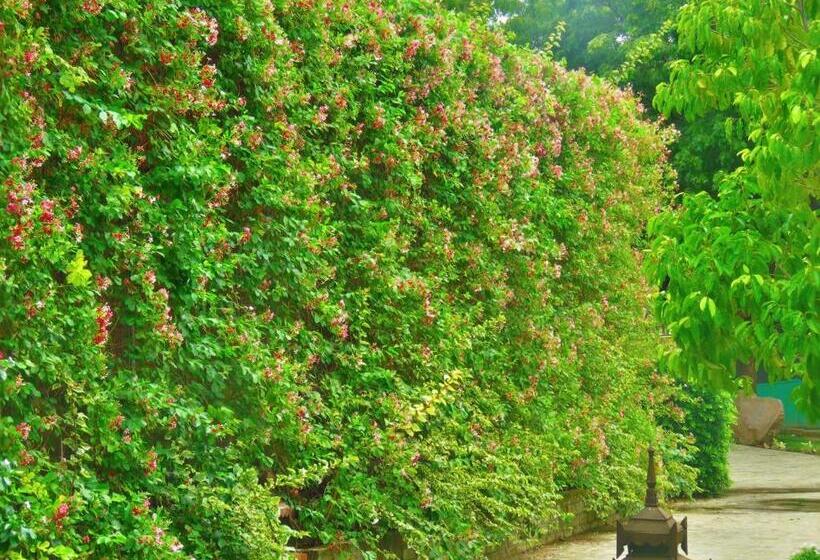 Отель Heritage Bagan