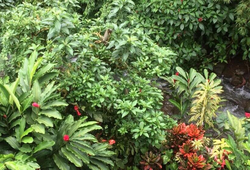 호텔 Hospedaje Angeluz