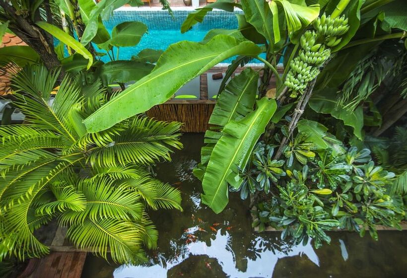 בית מלון כפרי Sarina Boutique