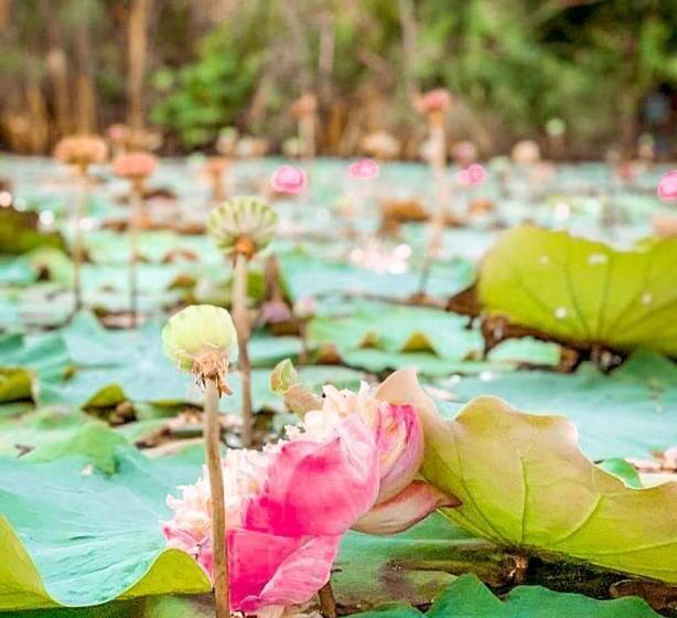 Курорт Kunang Kunang Heritage Villas