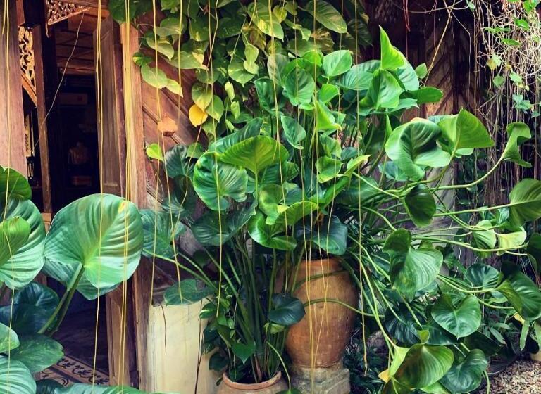 Курорт Kunang Kunang Heritage Villas