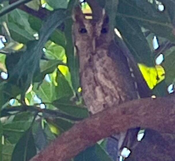 The Breeze Hotel & Villas