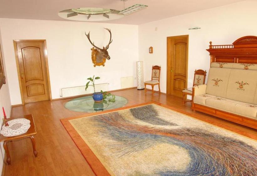 旅馆 Pensiunea Casa Benko