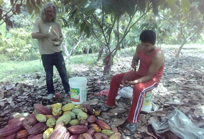 ユースホステル Hospedaje Franco Peruano El Tambito