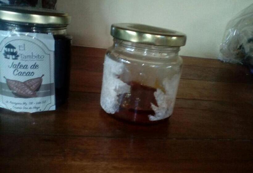 ユースホステル Hospedaje Franco Peruano El Tambito