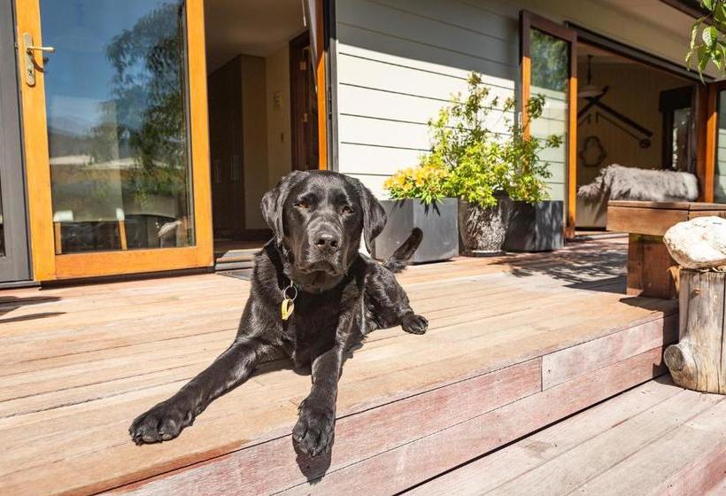 Bearsden Bed & Breakfast