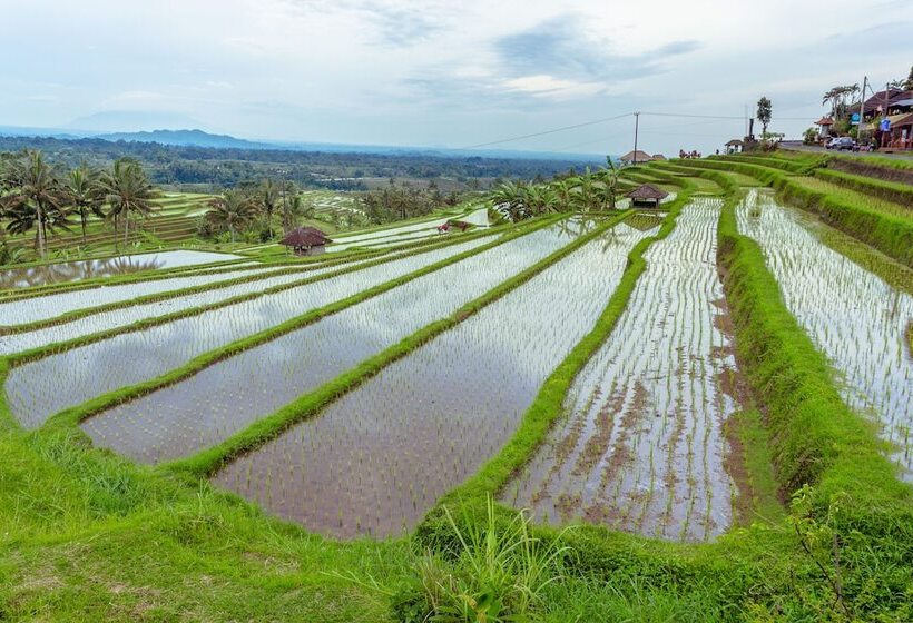 مبيت وإفطار Bhuana Agung Villa And Restaurant