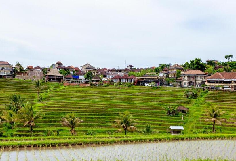 تختخواب و صبحانه Bhuana Agung Villa And Restaurant
