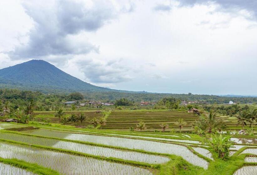 تختخواب و صبحانه Bhuana Agung Villa And Restaurant