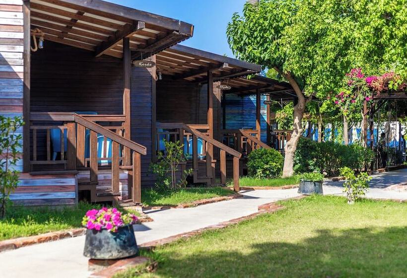 住宿加早餐  Gi̇ri̇ti̇mu Evleri̇