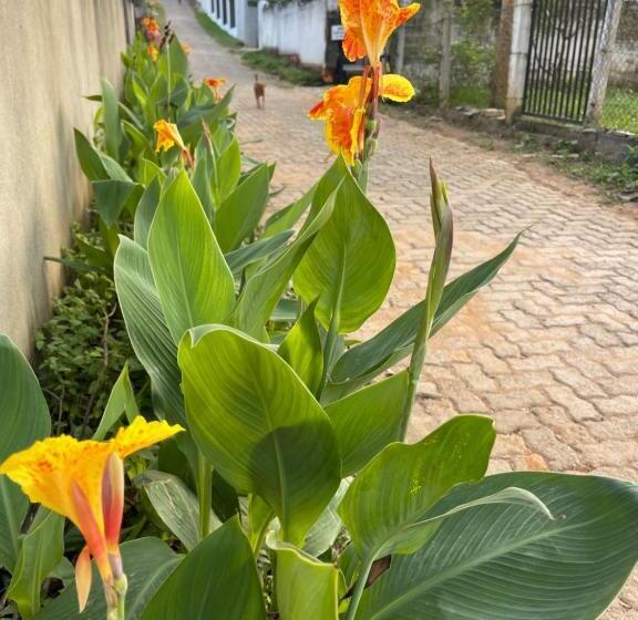 Bed and Breakfast Kalpa Place Hiriketiya