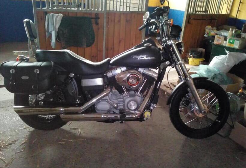 ベッドアンドブレックファースト Le Relais Du Moulin