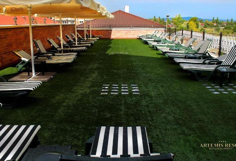 בית מלון כפרי Artemis Resort Wellness