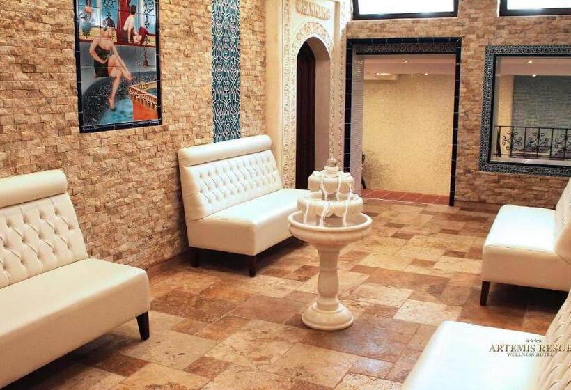 בית מלון כפרי Artemis Resort Wellness