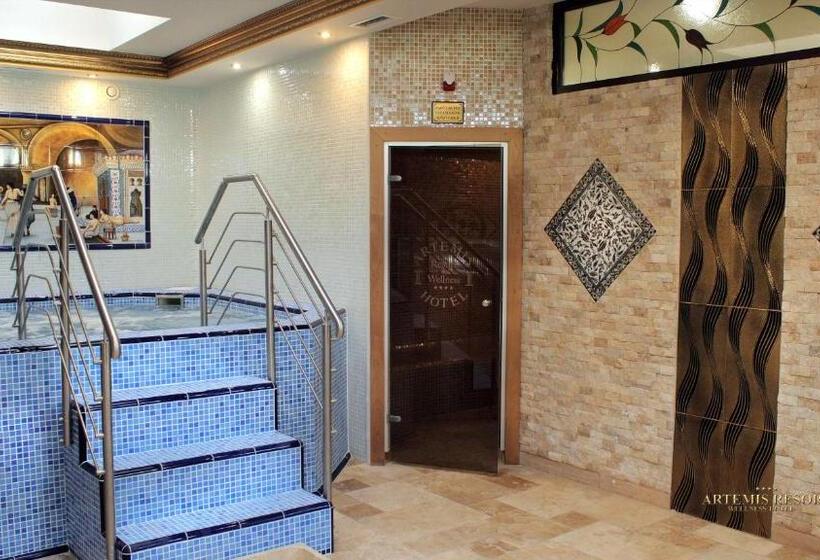 בית מלון כפרי Artemis Resort Wellness