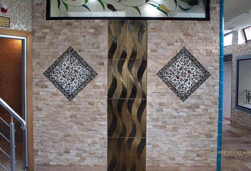 בית מלון כפרי Artemis Resort Wellness