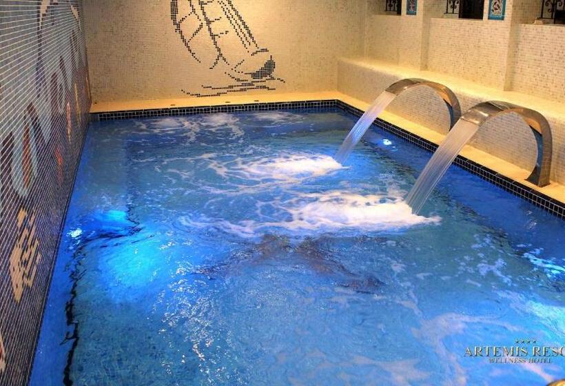 בית מלון כפרי Artemis Resort Wellness