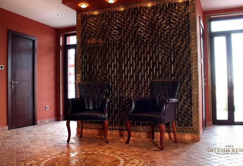 בית מלון כפרי Artemis Resort Wellness