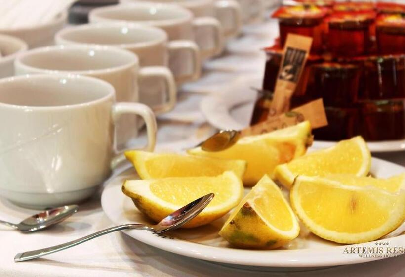 בית מלון כפרי Artemis Resort Wellness