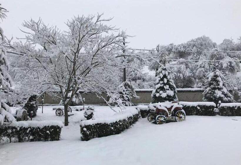 בית מלון כפרי Divetsite