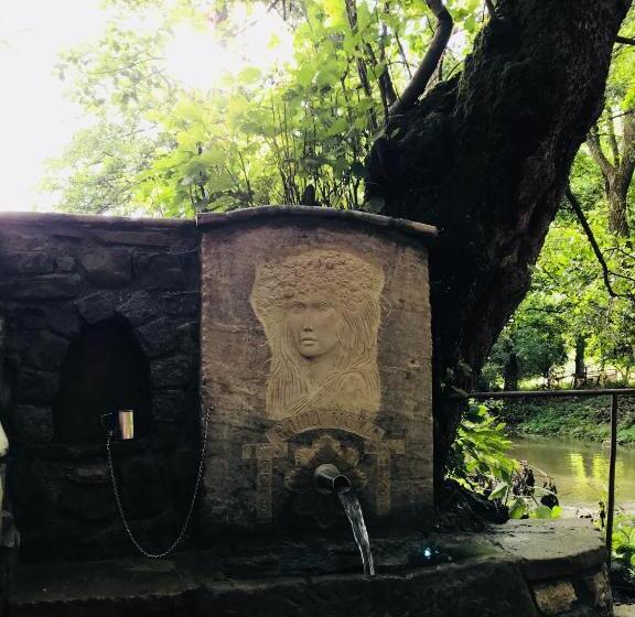 בית מלון כפרי Divetsite