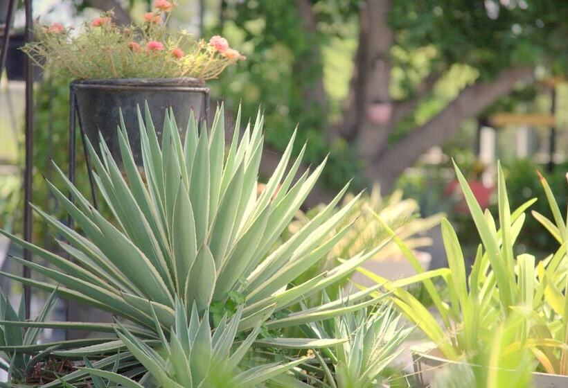 酒店 Villa Highnest Oragadam Sriperumbudur