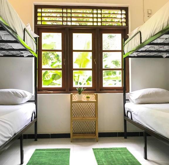 הוסטל Bed & Bicycle