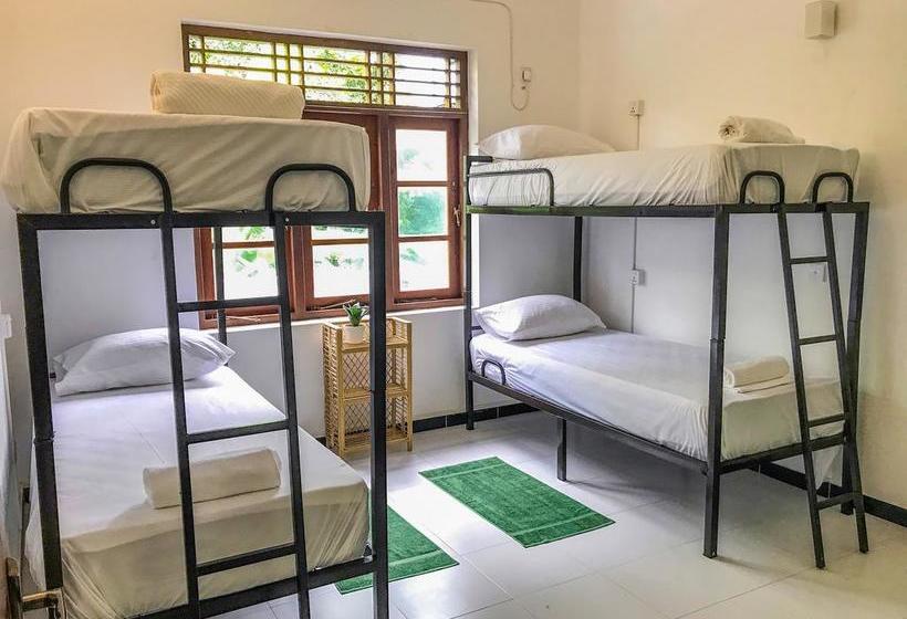 הוסטל Bed & Bicycle