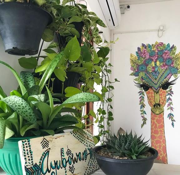 הוסטל Bed & Bicycle