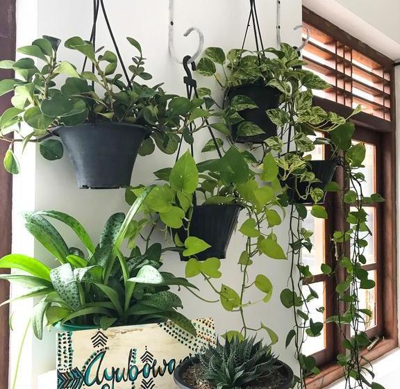 הוסטל Bed & Bicycle