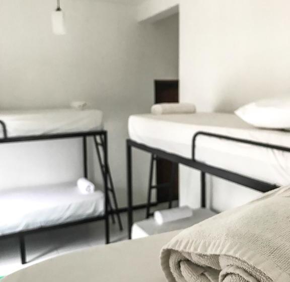 הוסטל Bed & Bicycle