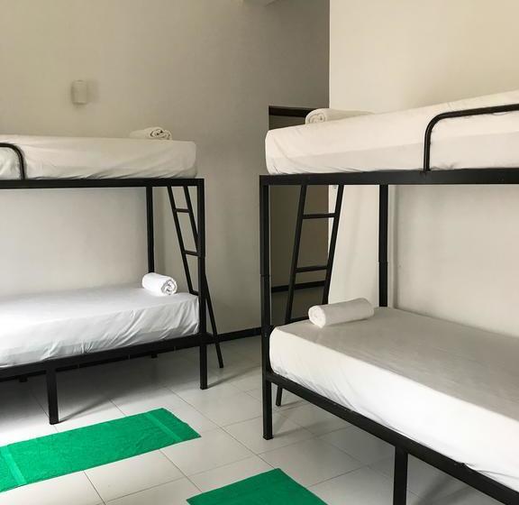 הוסטל Bed & Bicycle