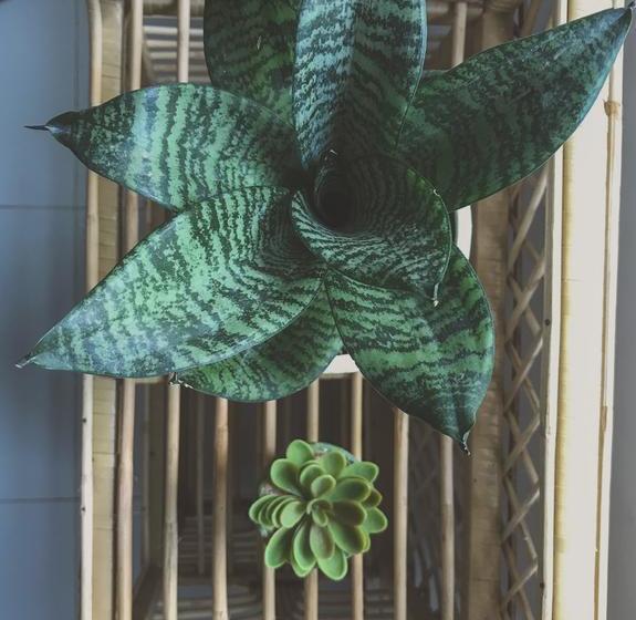 הוסטל Bed & Bicycle