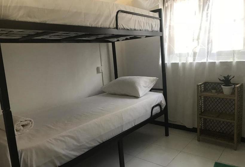 הוסטל Bed & Bicycle