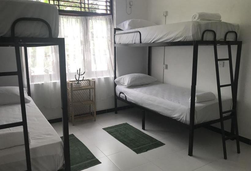 הוסטל Bed & Bicycle