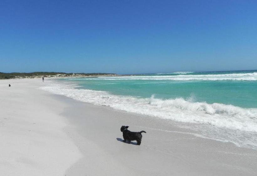 Atlantic Dream Beachfront Villa