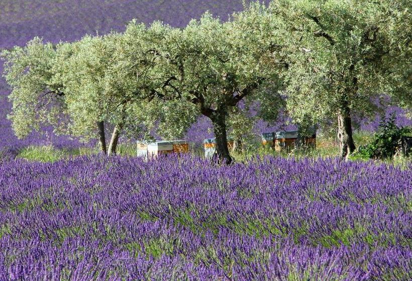 ベッドアンドブレックファースト Le Jardin De Celina