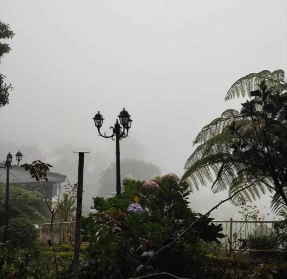 住宿加早餐 Misty Paradise Of Lake Gregory