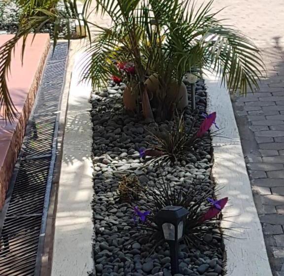 تختخواب و صبحانه Sheevys Bed N Breakfast